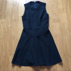 NWOT Madewell Fit and Flair Dress